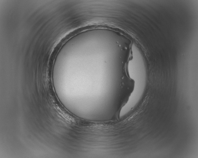 X0000076310880200610201610