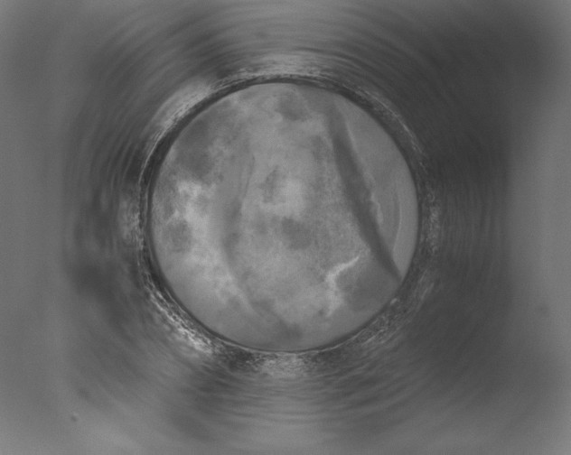 X0000076310882200610201610