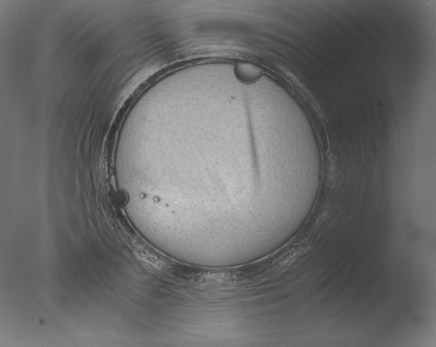 X0000076310883200610201610