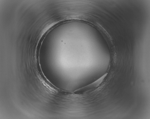 X0000076310884200610201610