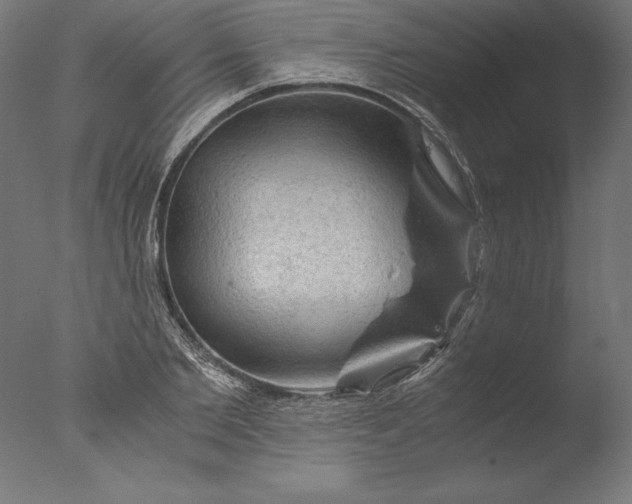 X0000076310885200610201610