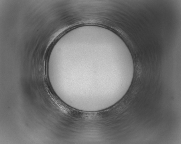 X0000076310886200610201610