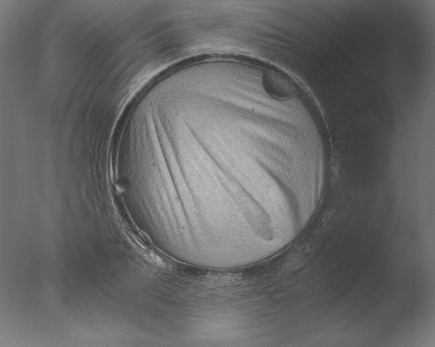 X0000076310887200610201610