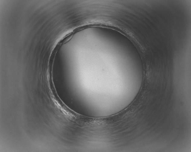 X0000076310888200610201610