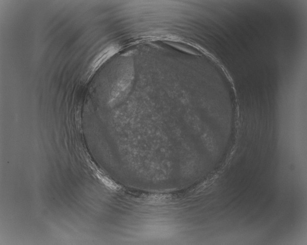 X0000076310889200610201610