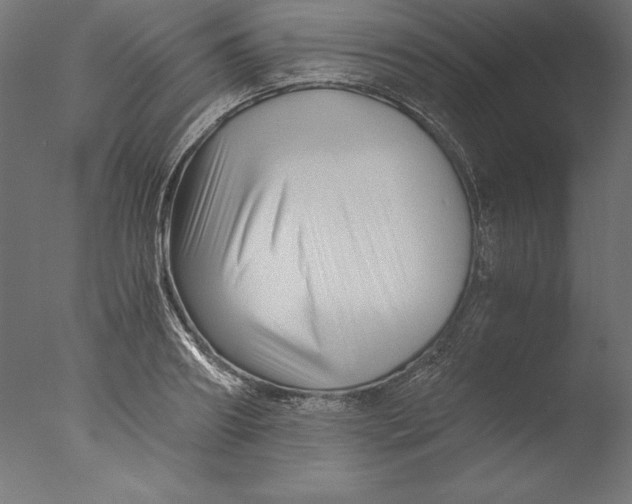 X0000076310890200610201610