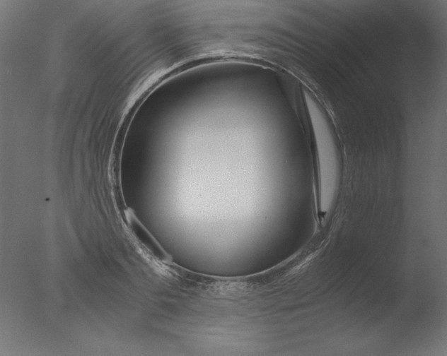 X0000076310893200610201609