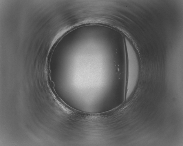 X0000076310894200610201609