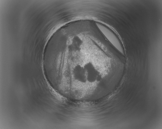 X0000076310895200610201609