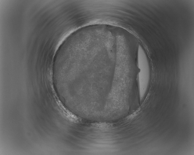 X0000076310896200610201609