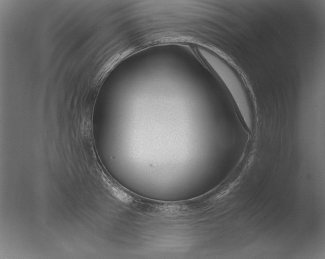 X0000076310897200610201609