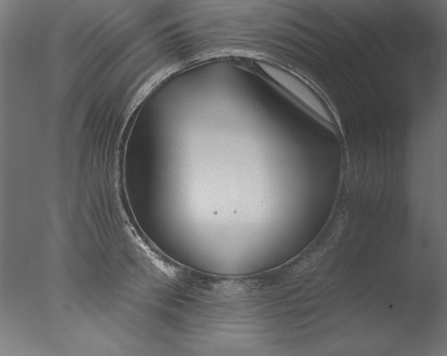 X0000076310898200610201609