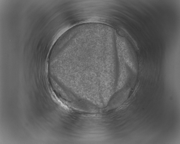 X0000076310900200610201609