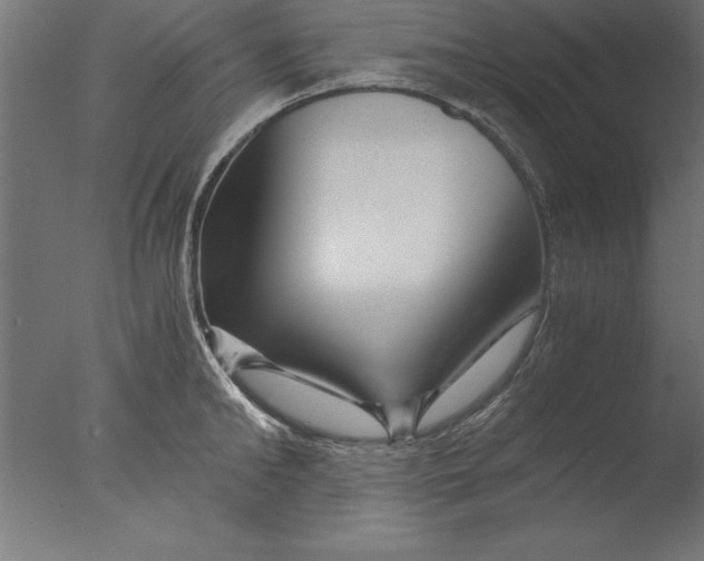 X0000076310902200610201609