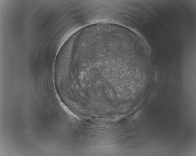 X0000076310903200610201609