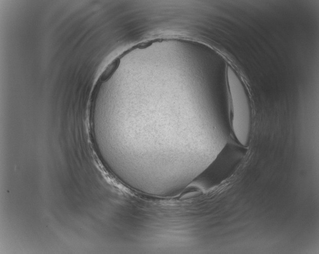 X0000076310904200610201609