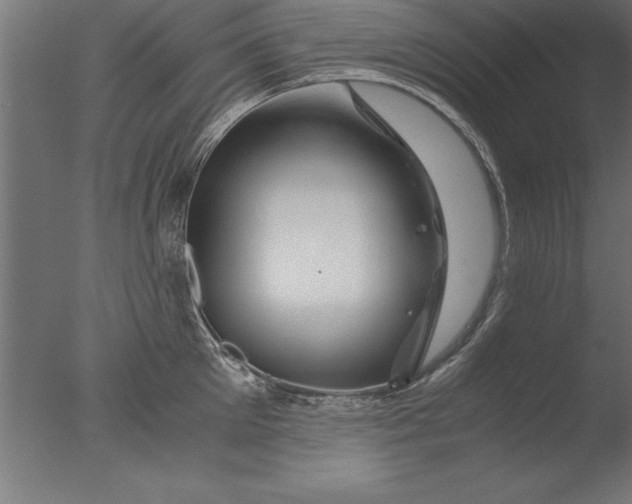 X0000076310905200610201609