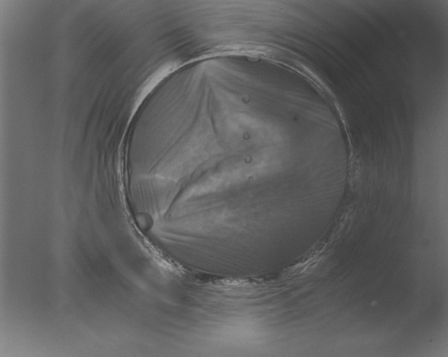 X0000076310907200610201609