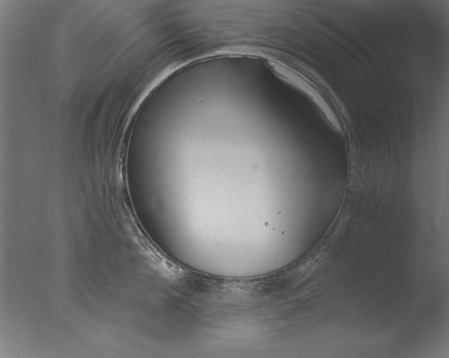 X0000076310908200610201609