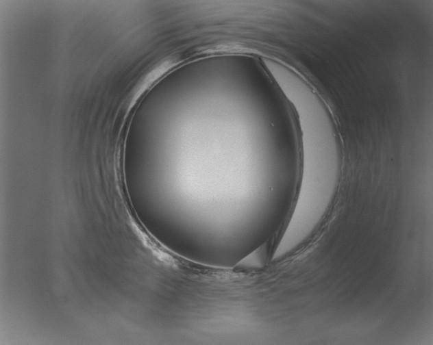 X0000076310909200610201609