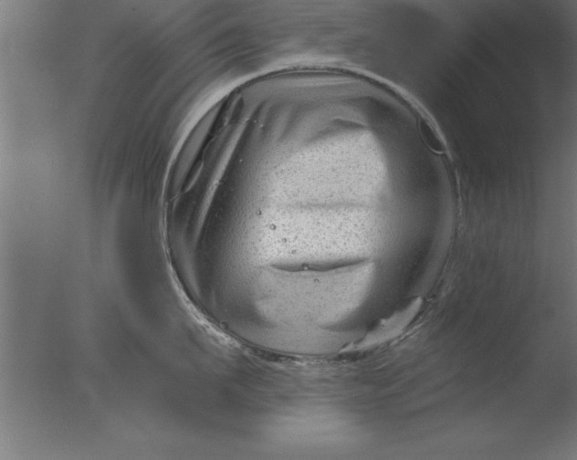 X0000076310911200610201609