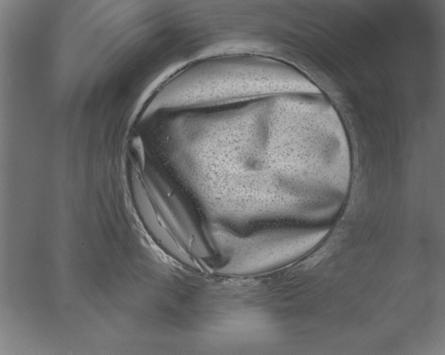 X0000076310912200610201609