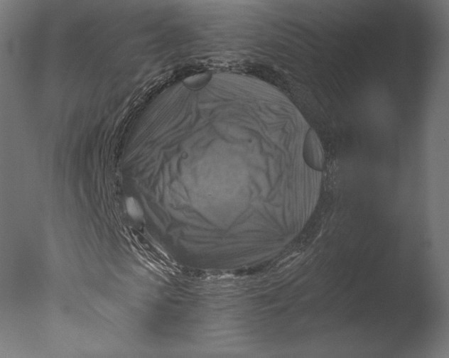 X0000076310913200610201608