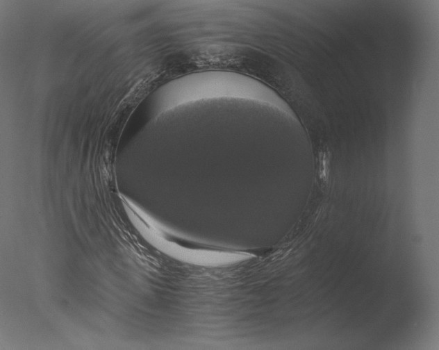 X0000076310915200610201608