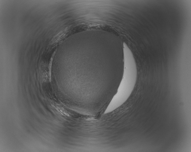 X0000076310916200610201608