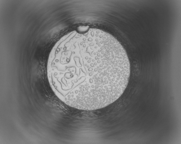 X0000076310918200610201608