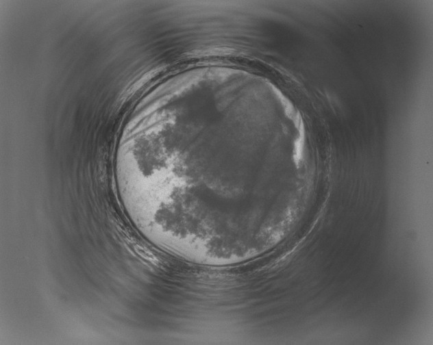 X0000076310921200610201608