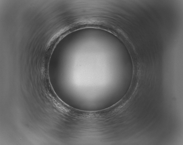 X0000076310922200610201608