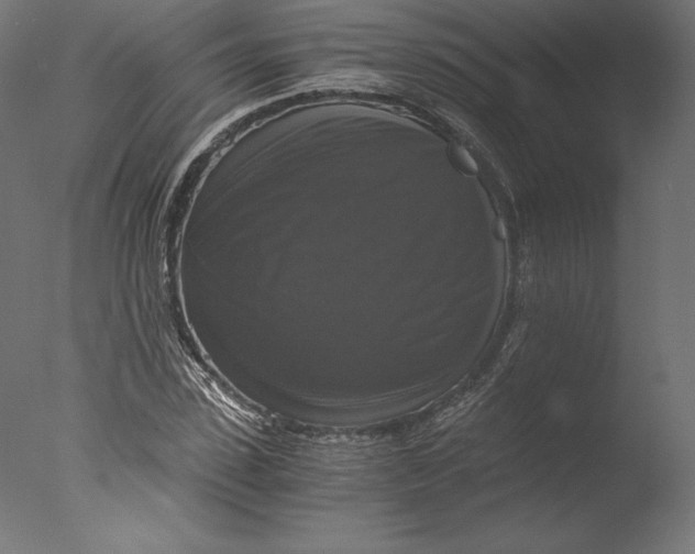 X0000076310923200610201608