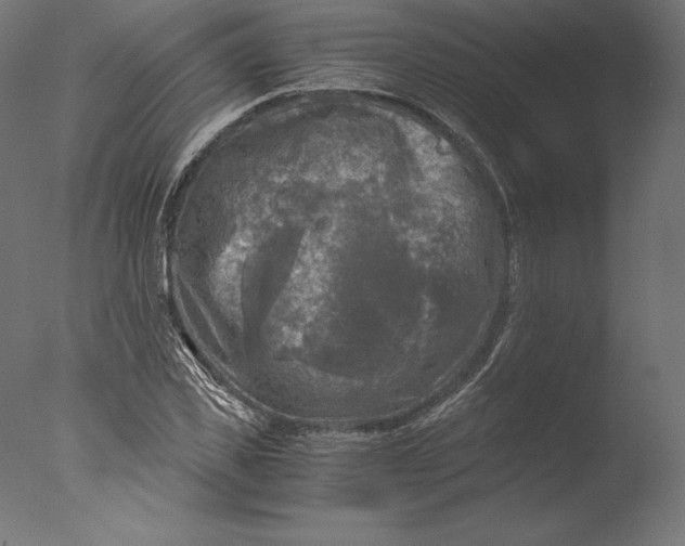 X0000076310925200610201609