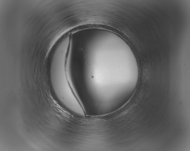 X0000076310926200610201609