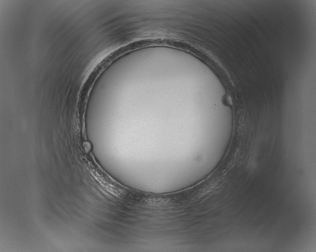 X0000076310927200610201609