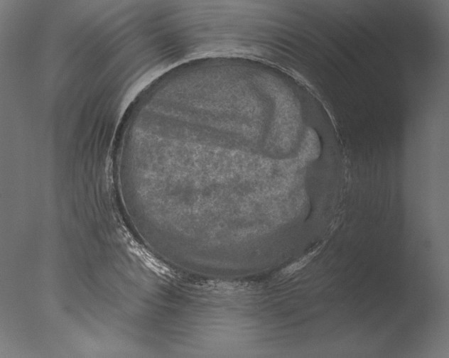 X0000076310928200610201609