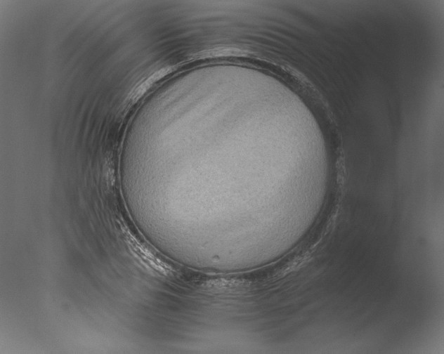 X0000076310929200610201609