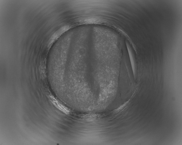 X0000076310930200610201609