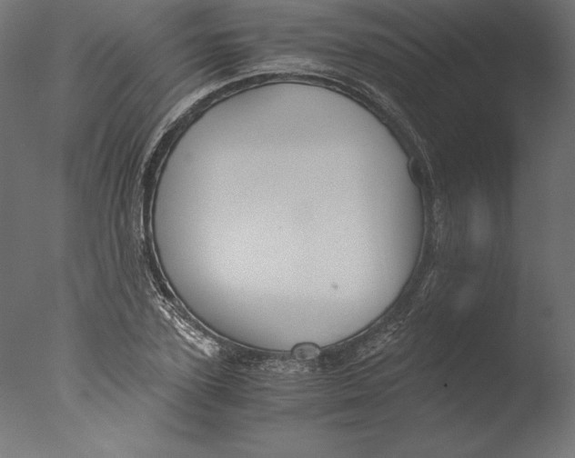 X0000076310931200610201609