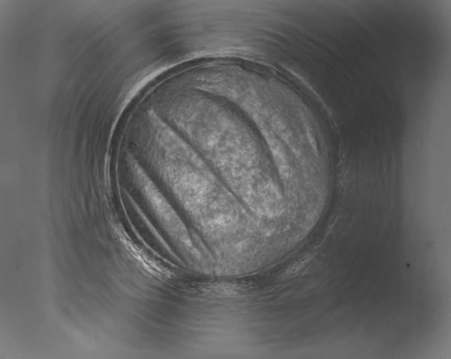 X0000076310932200610201609