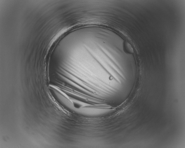 X0000076310933200610201609