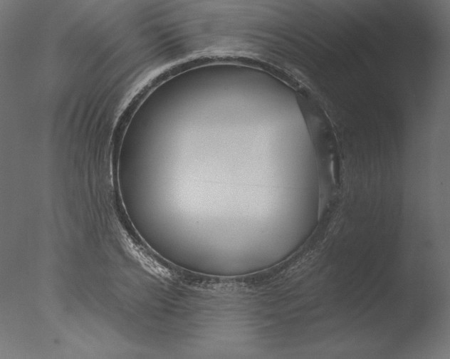 X0000076310934200610201609