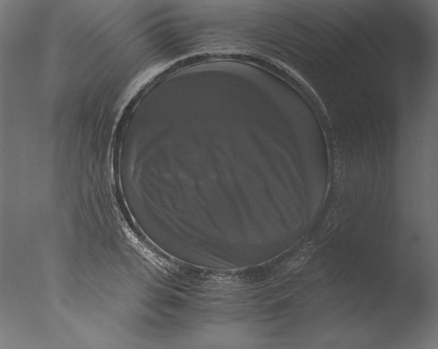 X0000076310935200610201609