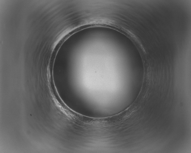 X0000076310936200610201609