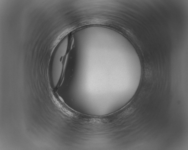 X0000076310938200610201609