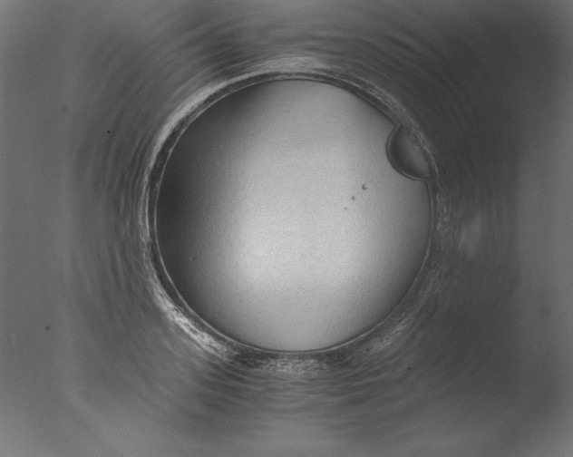 X0000076310939200610201609