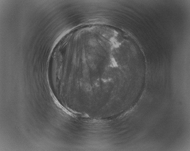 X0000076310941200610201609