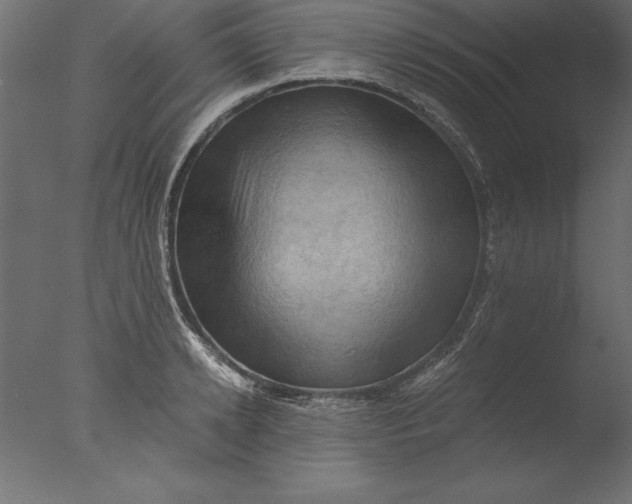 X0000076310942200610201609