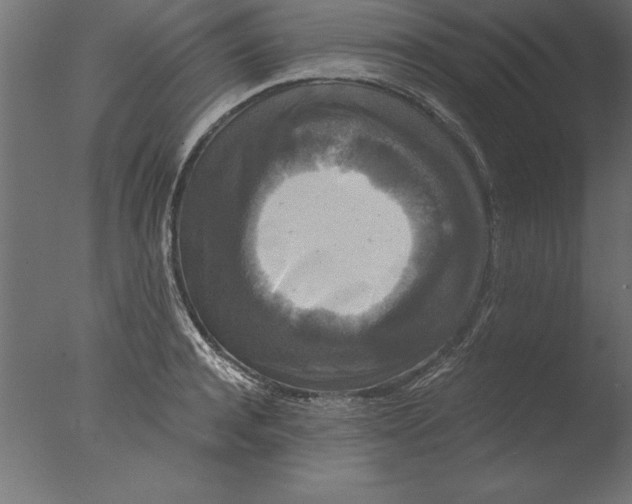 X0000076310944200610201609